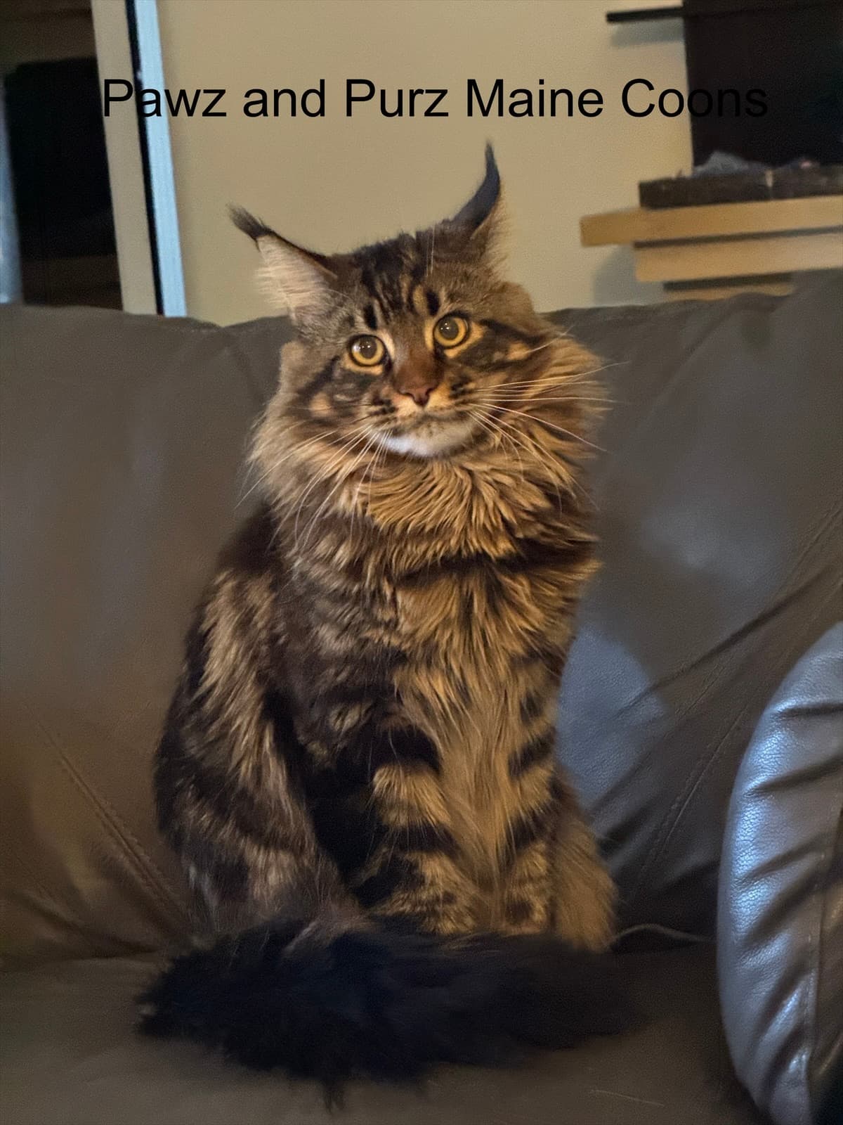 Milo